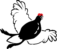 logo Tetras seul